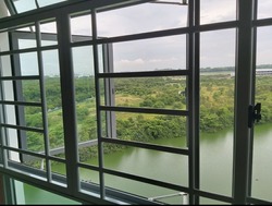 Blk 477C Upper Serangoon View (Hougang), HDB 4 Rooms #217176321